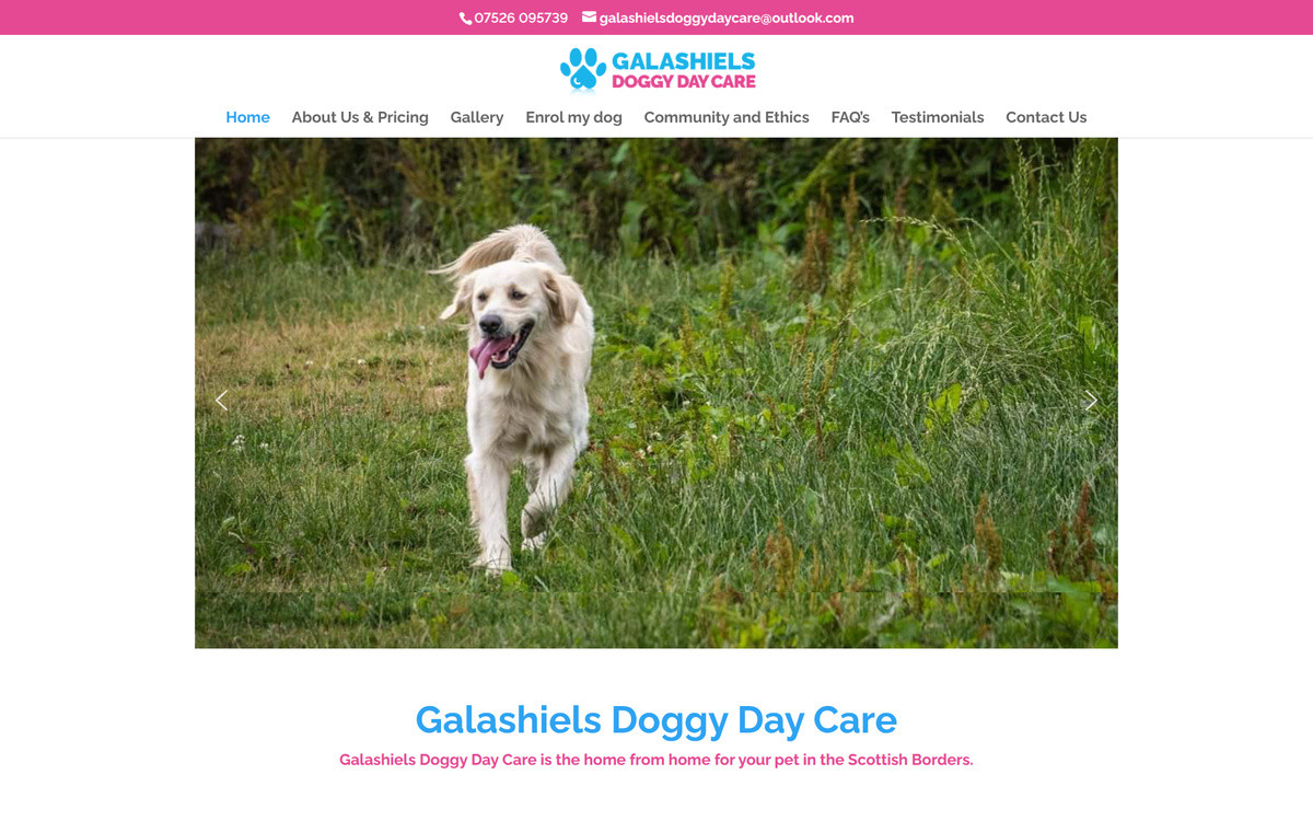 Galashiels Doggy Day Care website homepage screenshot